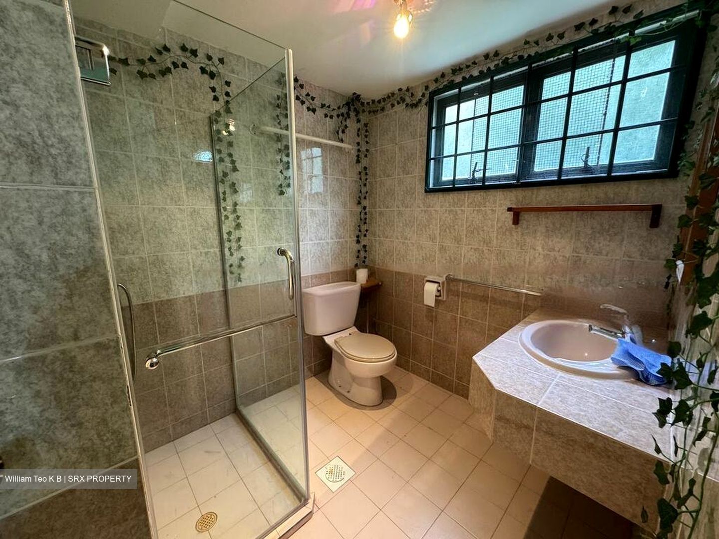 Hindhede Drive (D21), Terrace #424075661